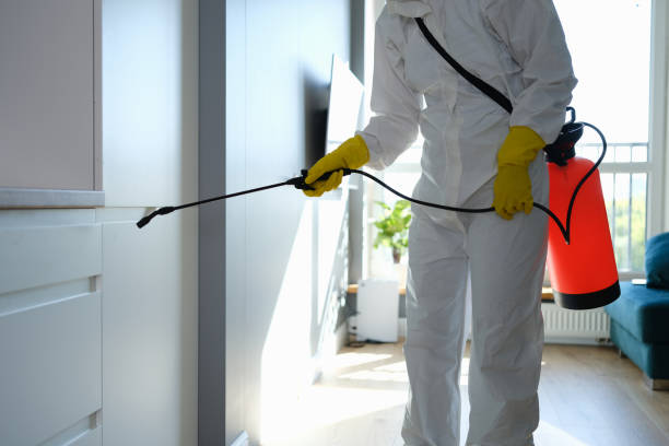 Best Toxic Mold Removal  in San Francisco, CA