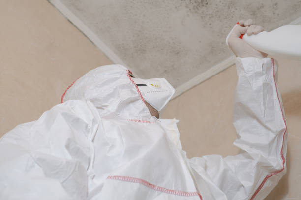 Best Mold Removal Company Near Me  in San Francisco, CA