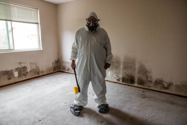 Best Mold Remediation Experts  in San Francisco, CA